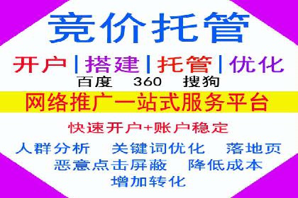百度搜索优化：成功案例分析及策略解析